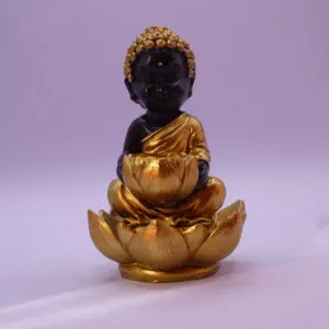 Brûleur d’Encens à Refoulement Reflux Backflow – Bouddha & Lotus