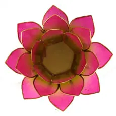 Bougeoir Lotus vert-rose bord or