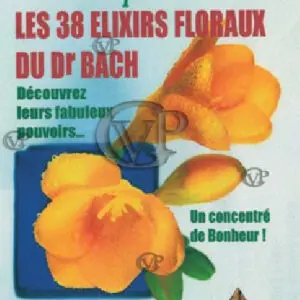  » UN BOUQUET DE SANTE LES 38 ELIXIRS FLORAUX DE BACH « 